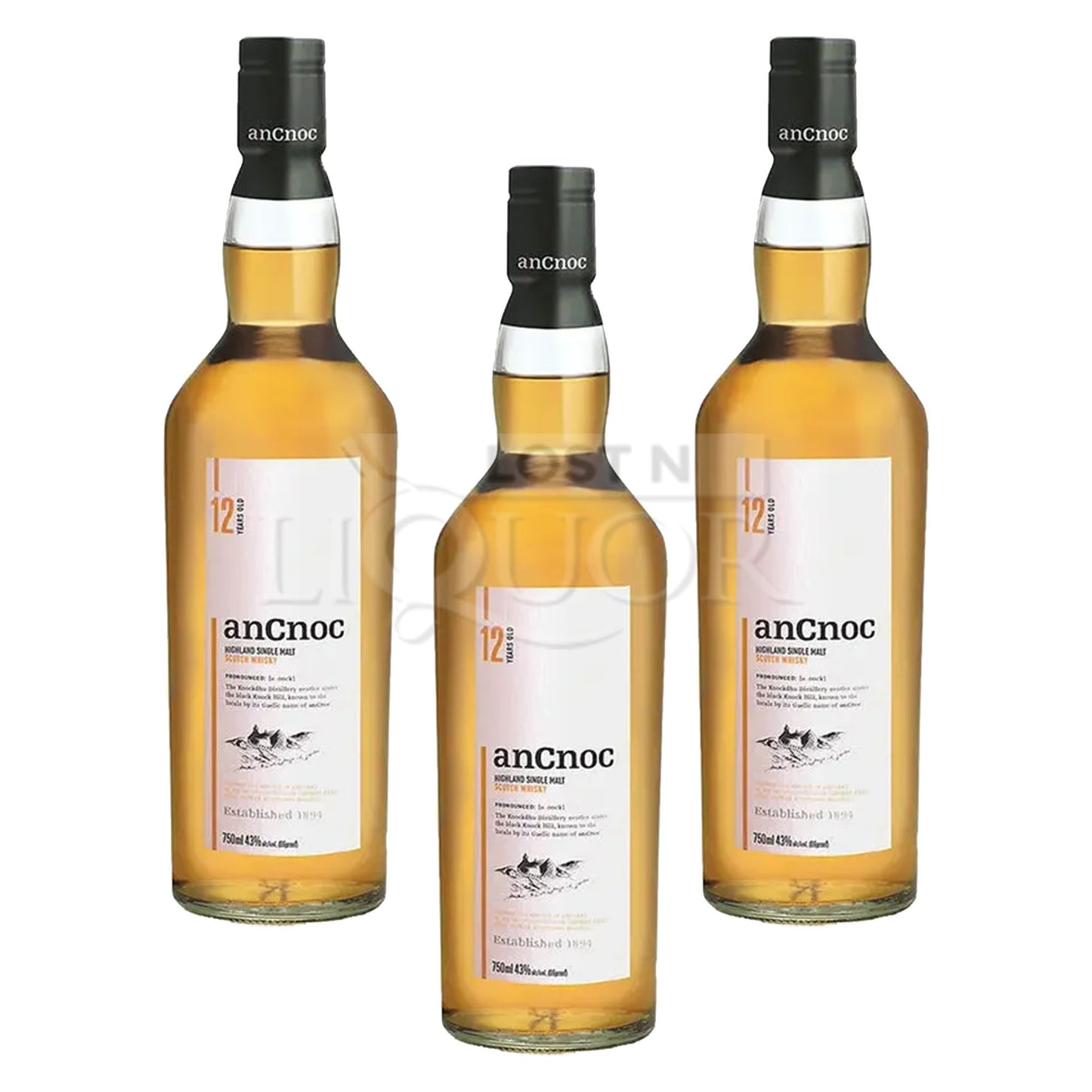 Ancnoc 12 Year Single Malt Scotch Whisky