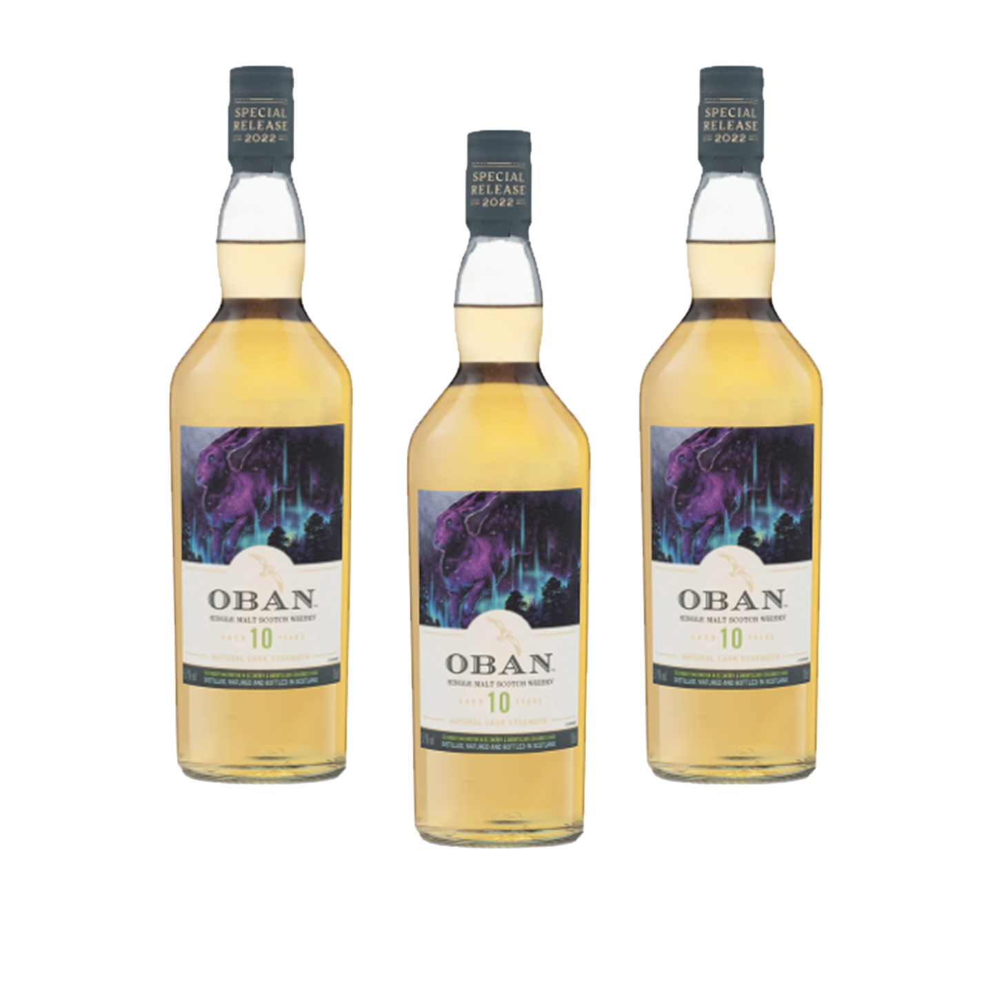 Oban Natural Cask Strength 10 Year Old Single Malt Scotch Whisky LostNLiquor